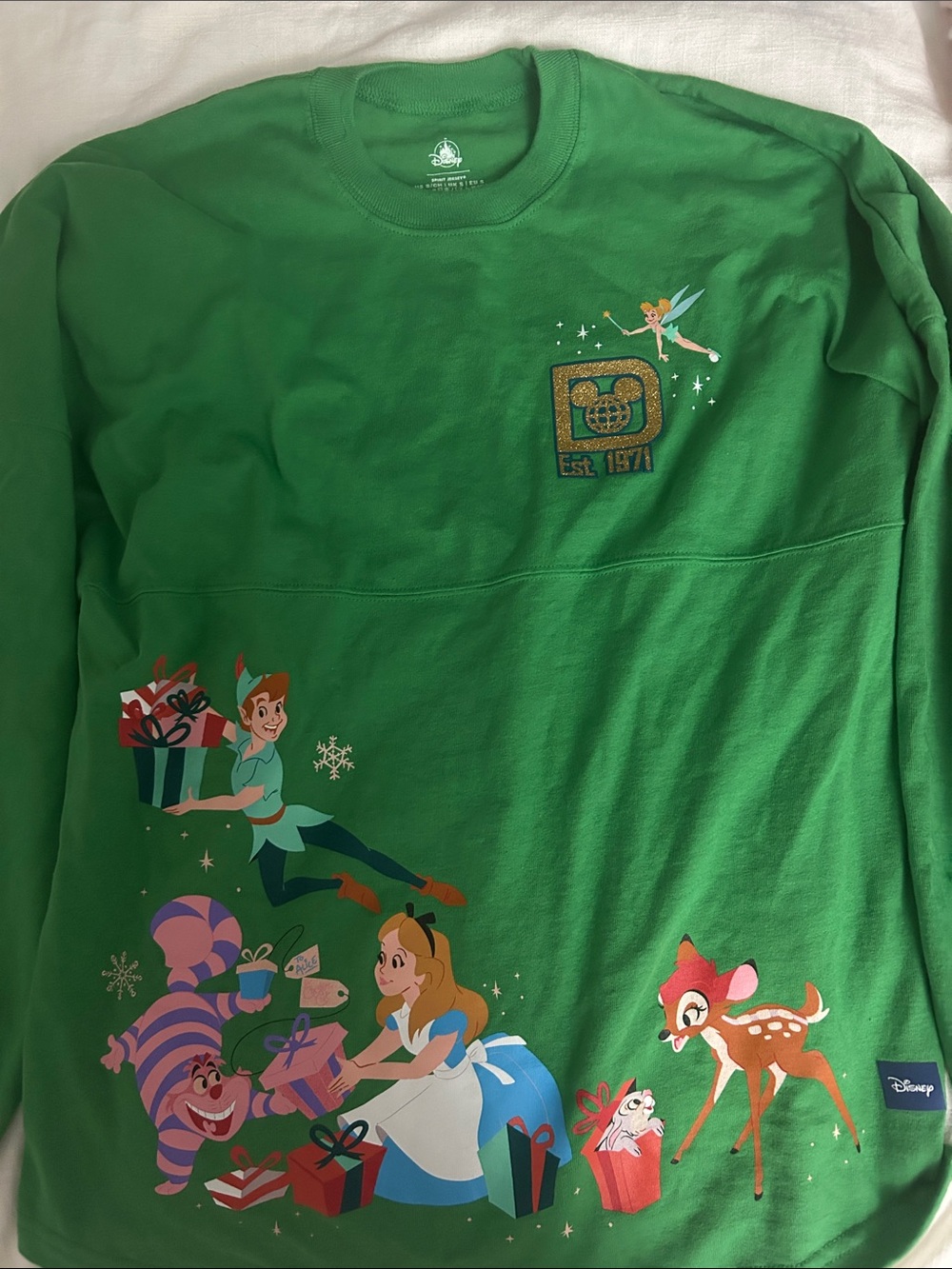 Disney adults Holiday spirit jersey